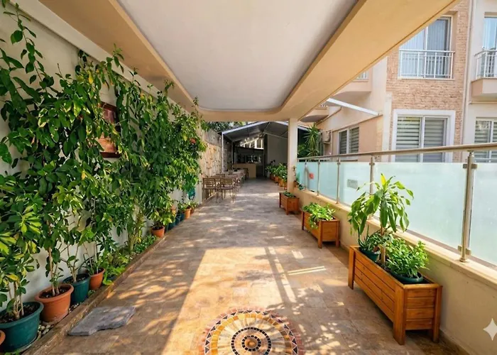 Apartament Star